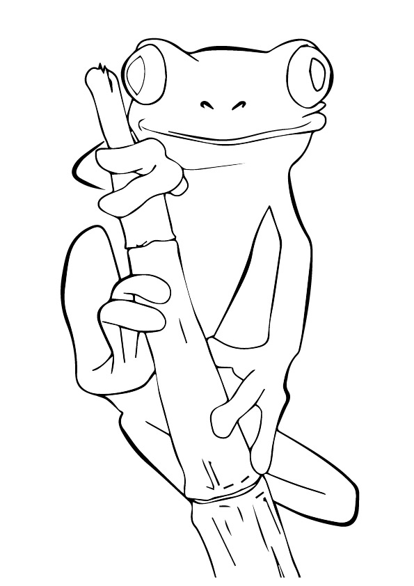 frog-coloring-page-0025-q2