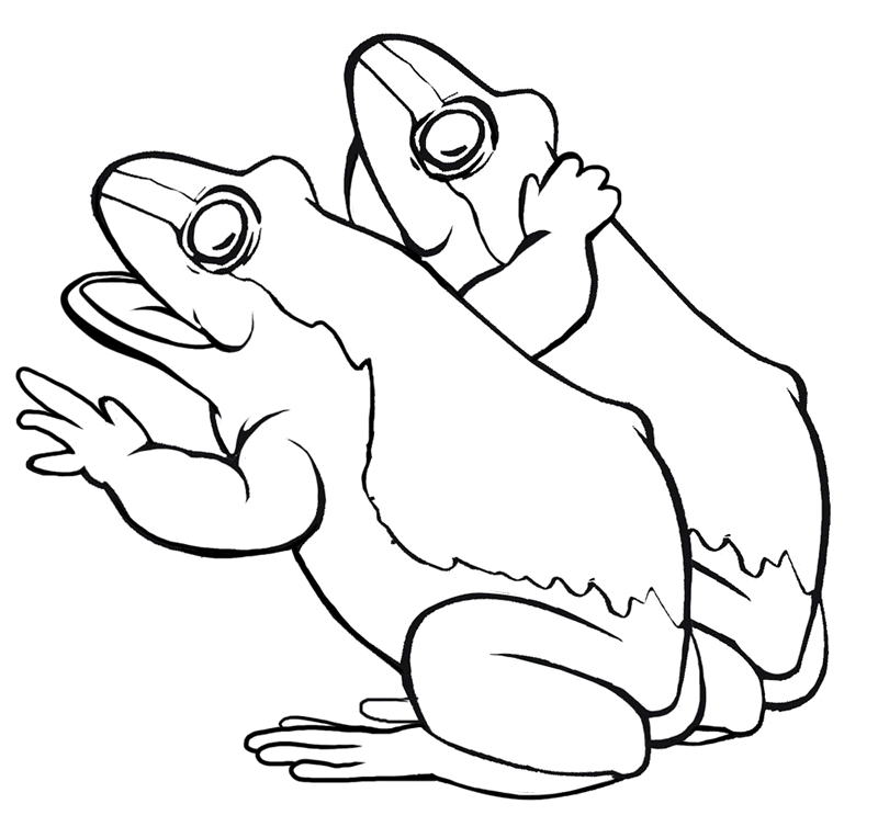 frog-coloring-page-0029-q1