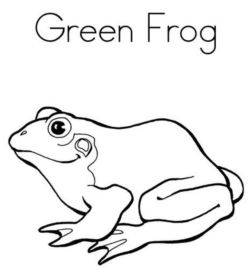 frog-coloring-page-0035-q1