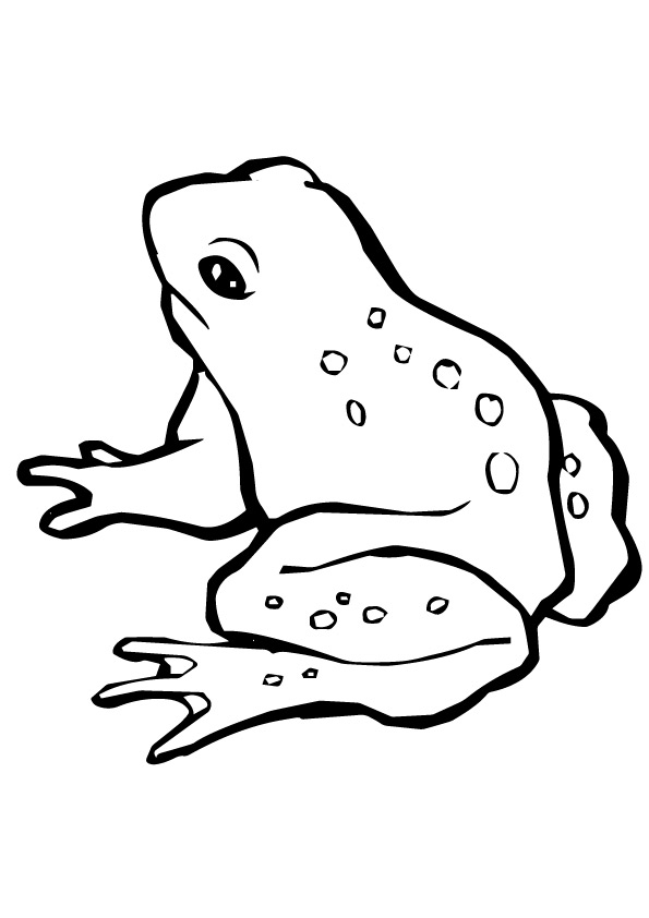 frog-coloring-page-0040-q2