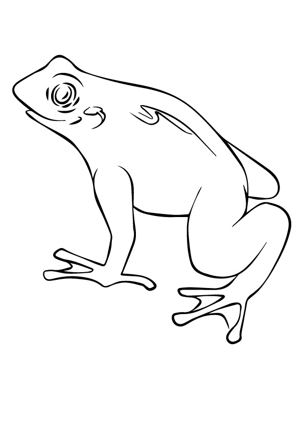 frog-coloring-page-0051-q2