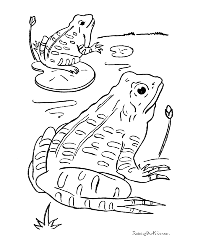 frog-coloring-page-0055-q1