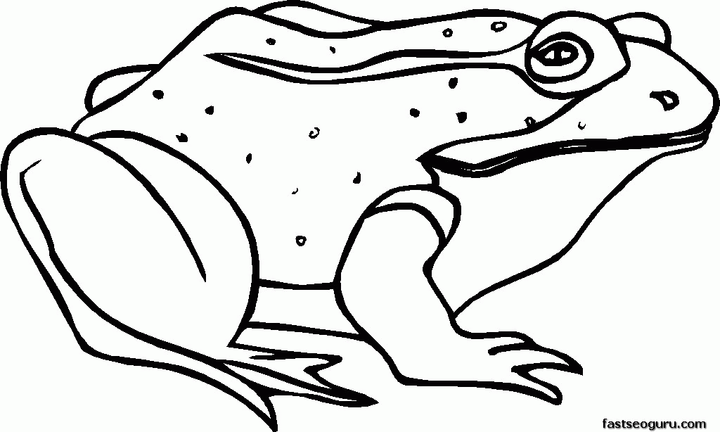 frog-coloring-page-0065-q1