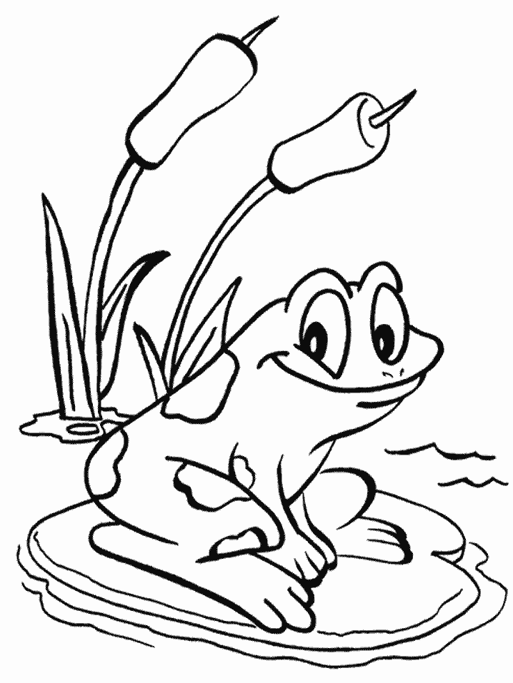 frog-coloring-page-0086-q1