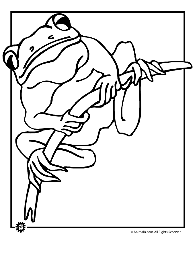frog-coloring-page-0097-q1