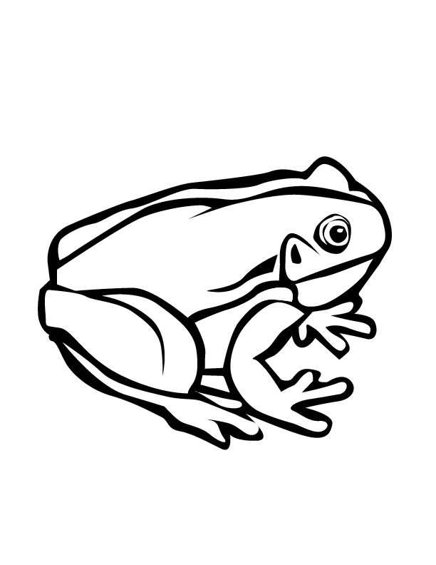 frog-coloring-page-0101-q1