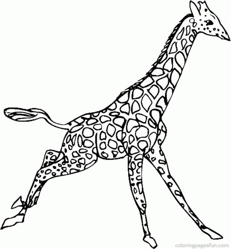giraffe-coloring-page-0009-q1