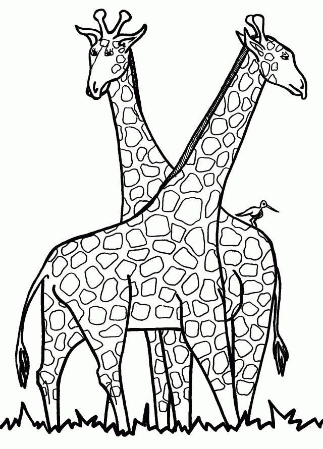 giraffe-coloring-page-0015-q1