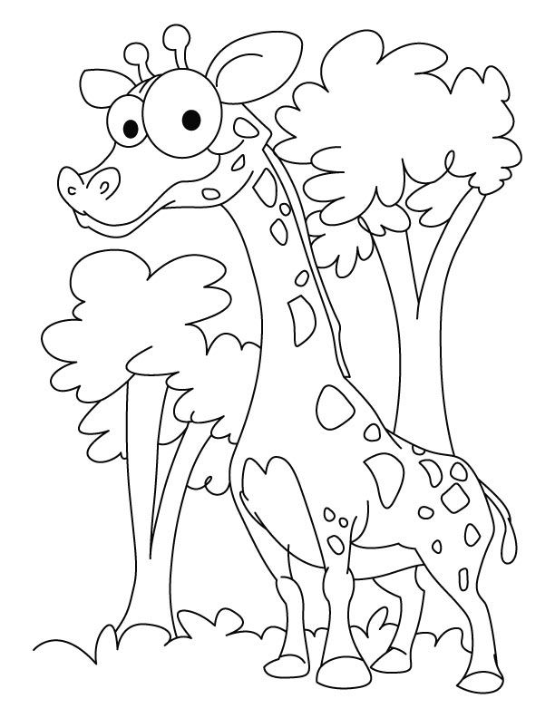 giraffe-coloring-page-0037-q1