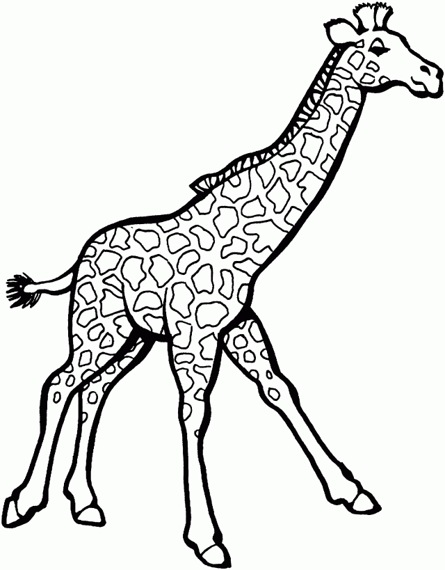 giraffe-coloring-page-0053-q1