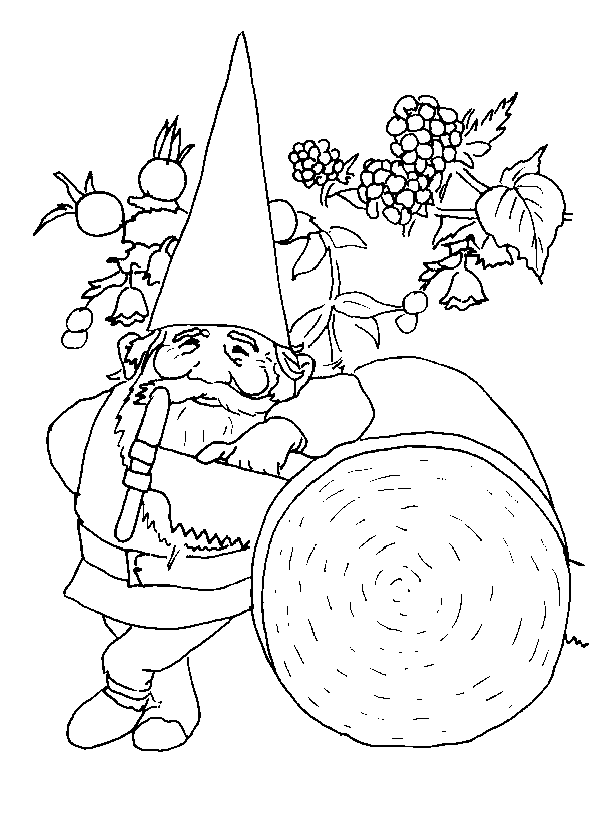 gnome-coloring-page-0072-q1