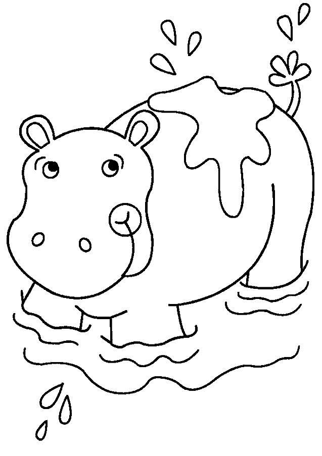 hippo-coloring-page-0025-q1