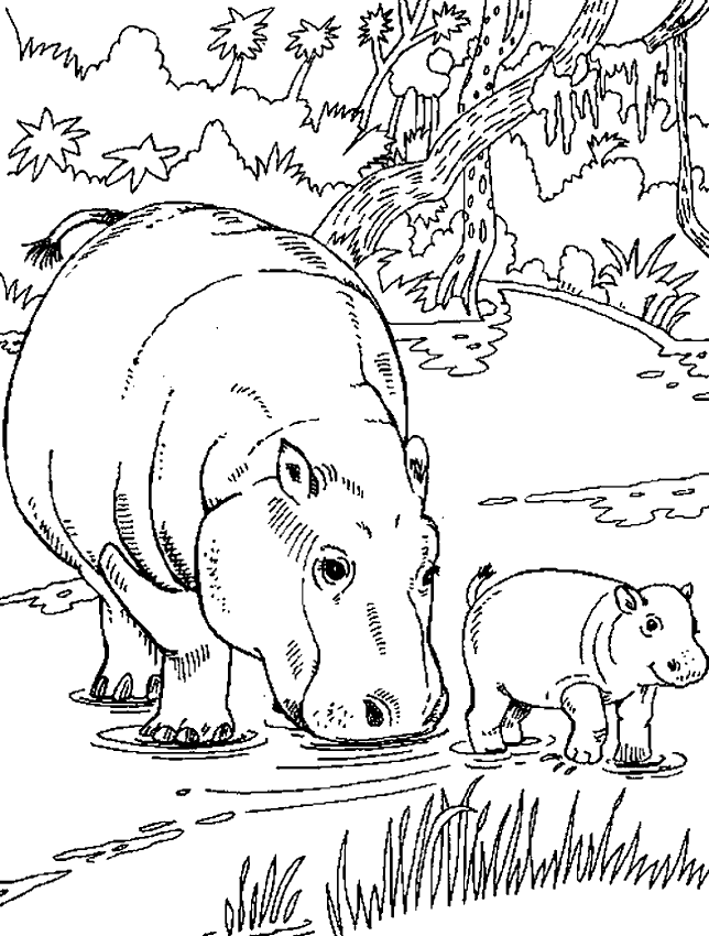 hippo-coloring-page-0034-q1