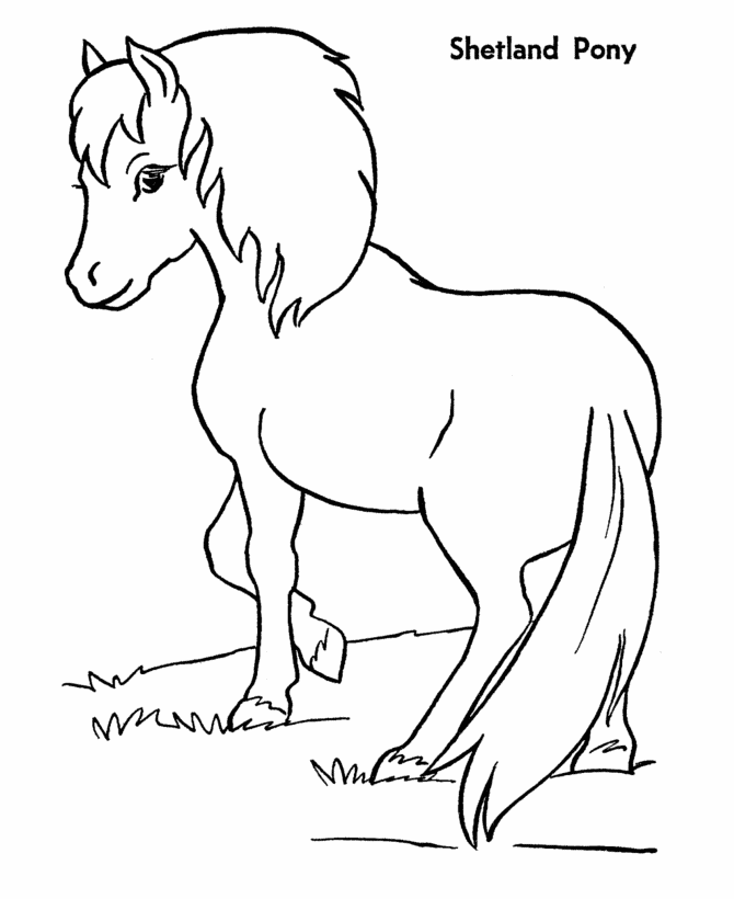 horse-coloring-page-0021-q1
