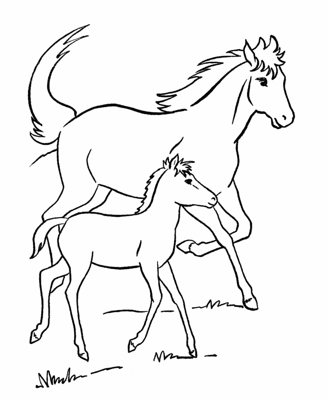 horse-coloring-page-0024-q1