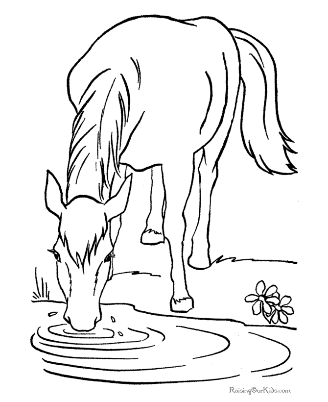 horse-coloring-page-0045-q1