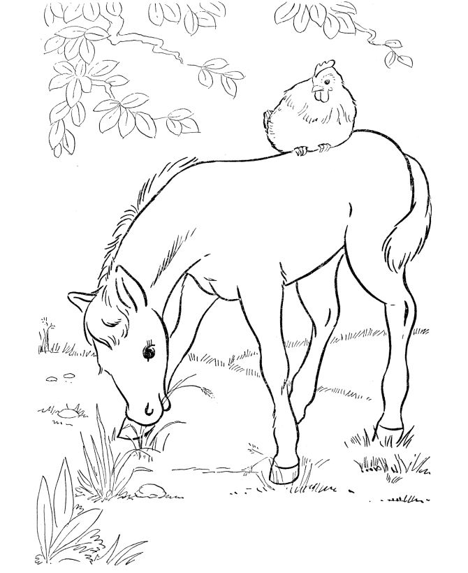 horse-coloring-page-0084-q1