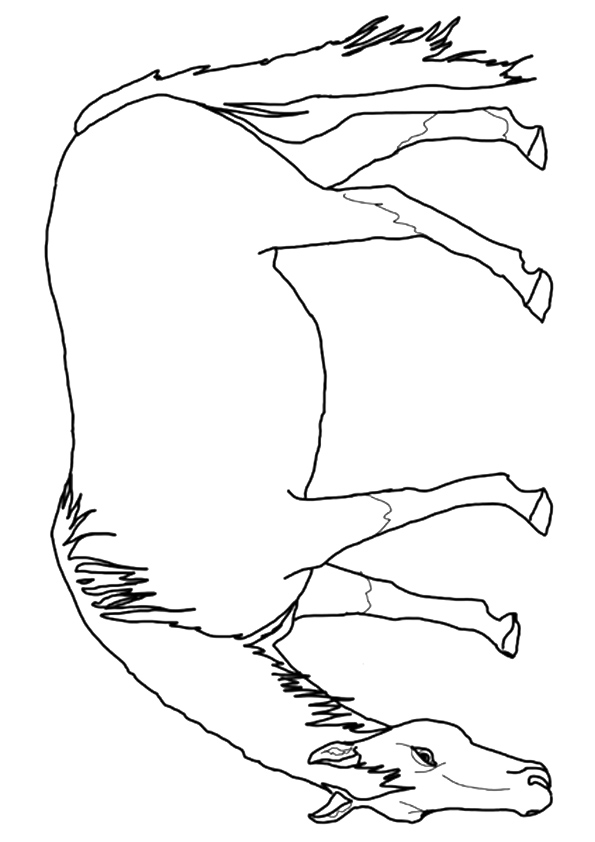 horse-coloring-page-0122-q2