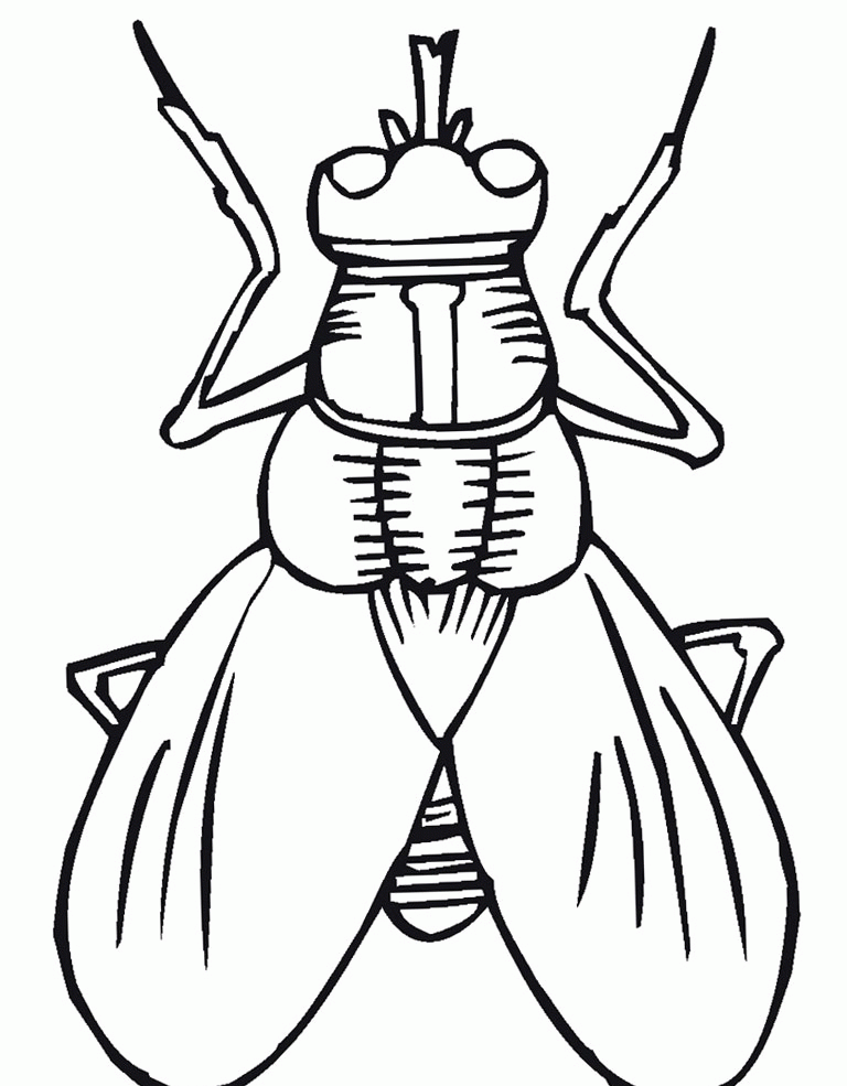 insect-coloring-page-0004-q1