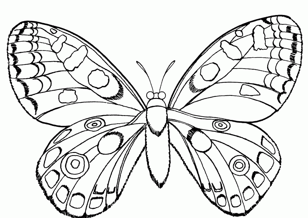 insect-coloring-page-0014-q1