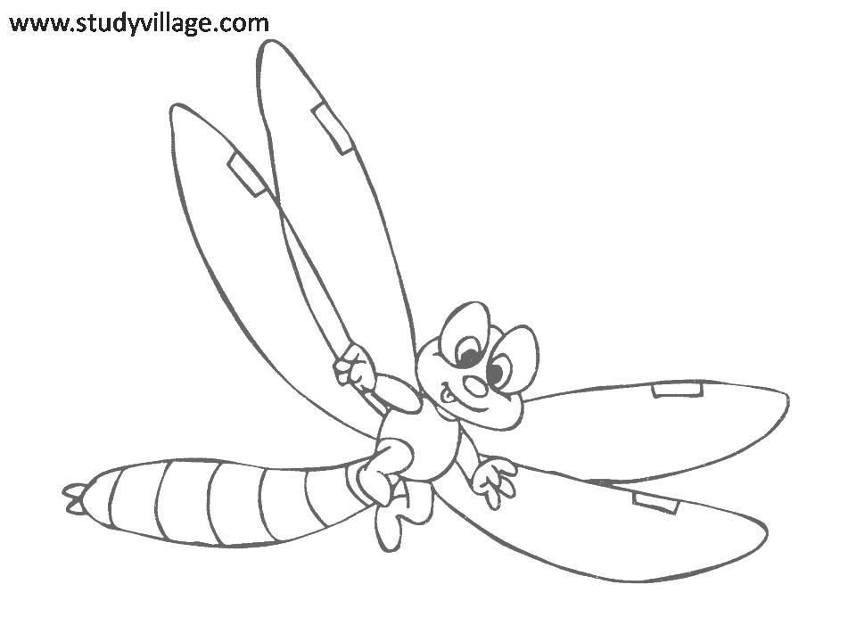 insect-coloring-page-0067-q1