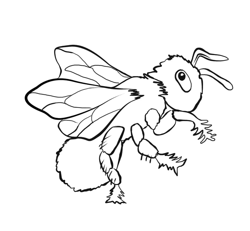 insect-coloring-page-0068-q1