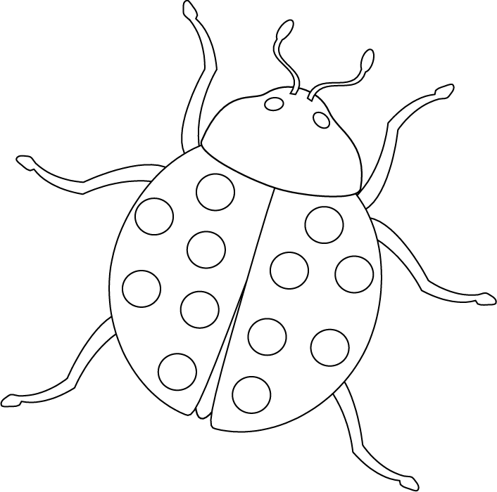 insect-coloring-page-0093-q1