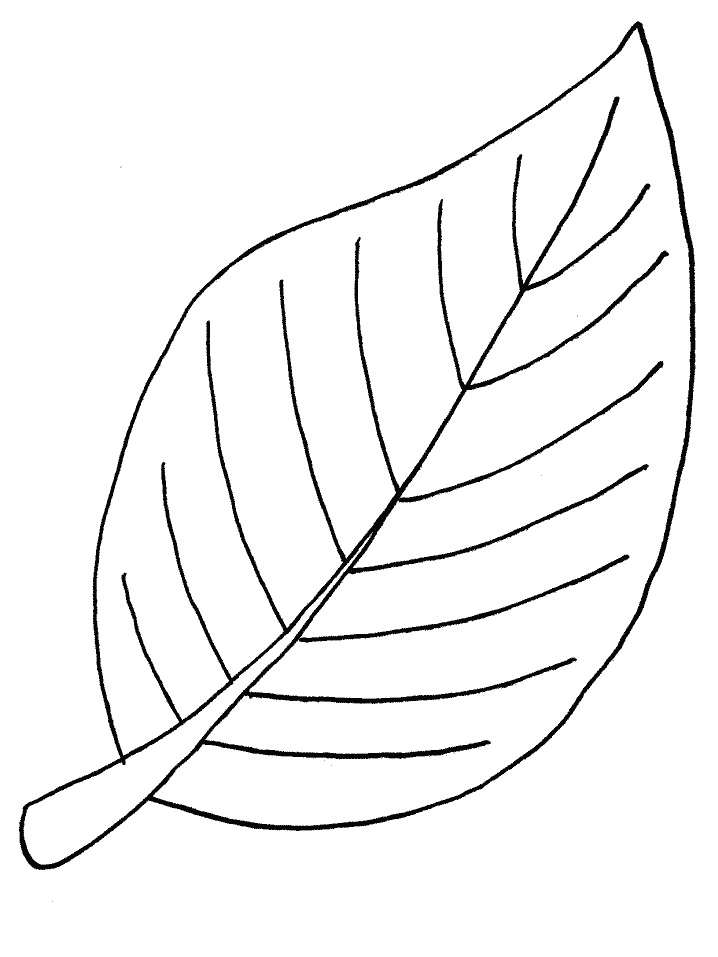 leaf-coloring-page-0065-q1