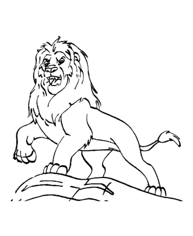 lion-coloring-page-0069-q1