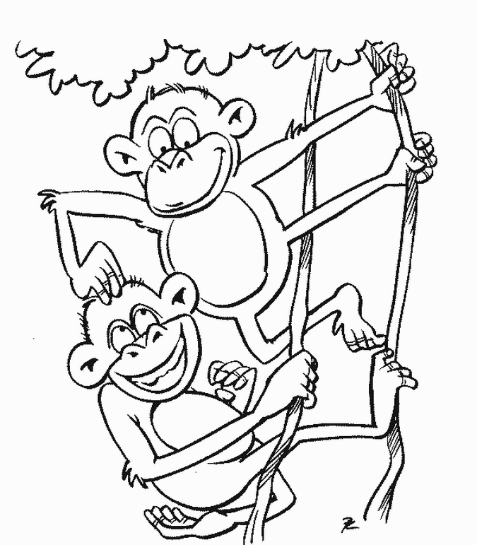 monkey-coloring-page-0030-q1