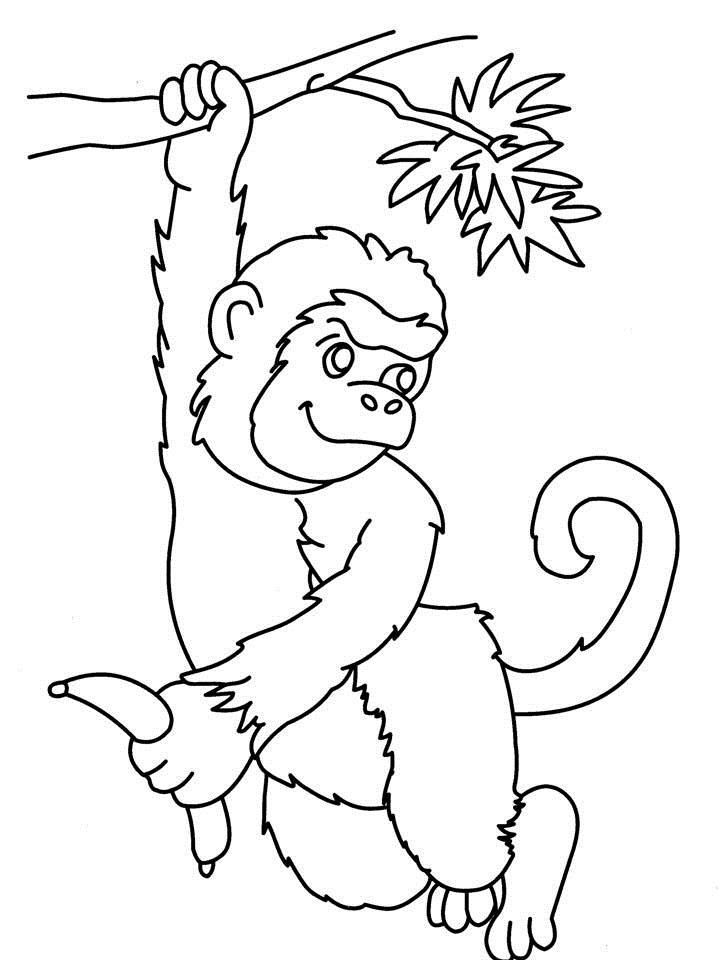 monkey-coloring-page-0041-q1