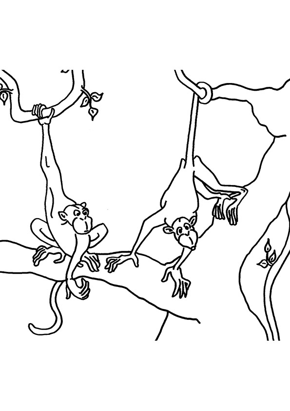 monkey-coloring-page-0044-q2