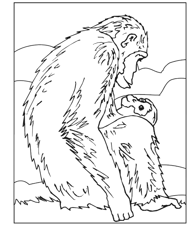 monkey-coloring-page-0048-q1