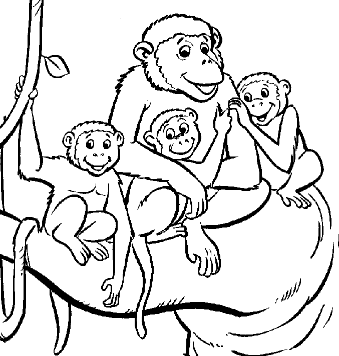 monkey-coloring-page-0100-q1