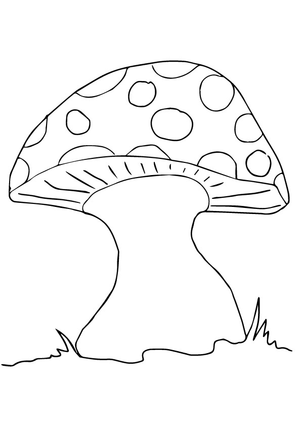 mushroom-coloring-page-0008-q2