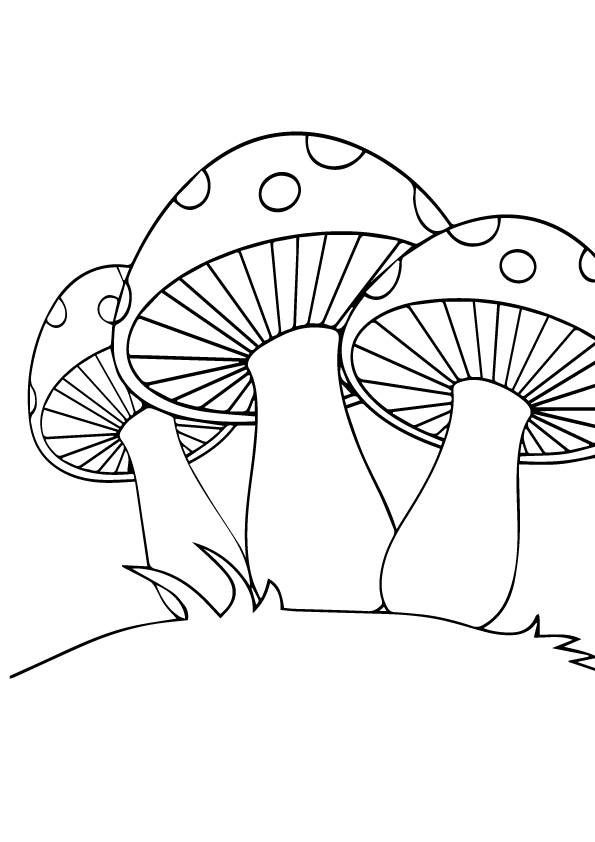 Mushroom Coloring Pages Books 100 Free And Printable.