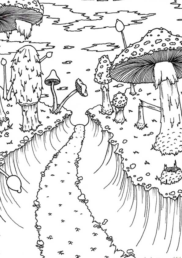 Mushroom: Coloring Pages & Books - 100% FREE and printable!