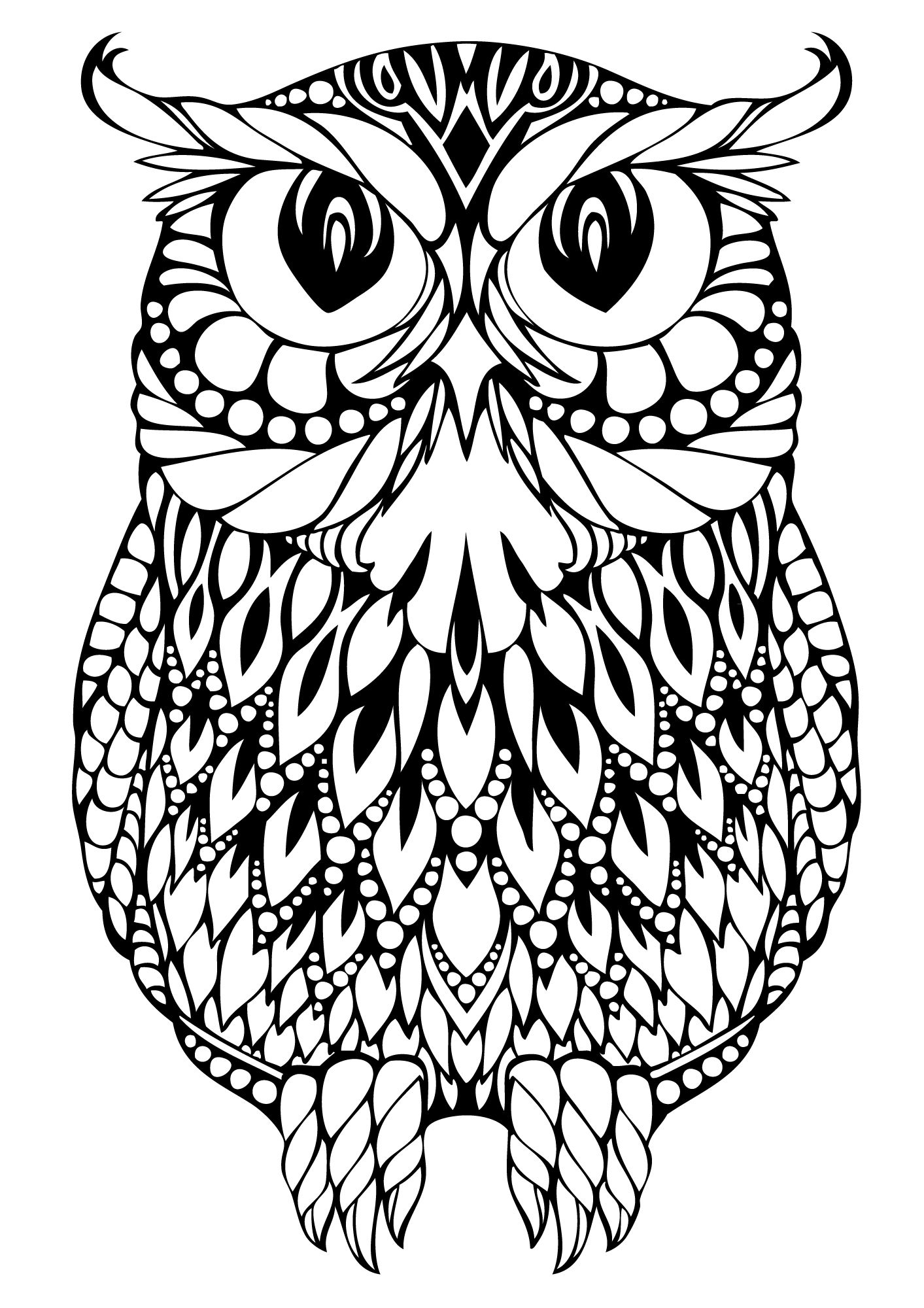 Owl