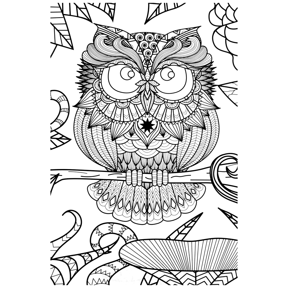 owl-coloring-page-0005-q4