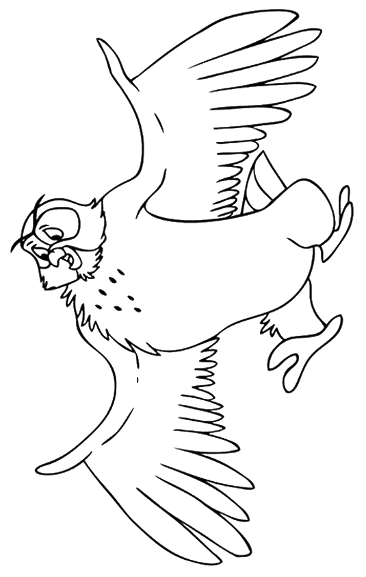 owl-coloring-page-0019-q2