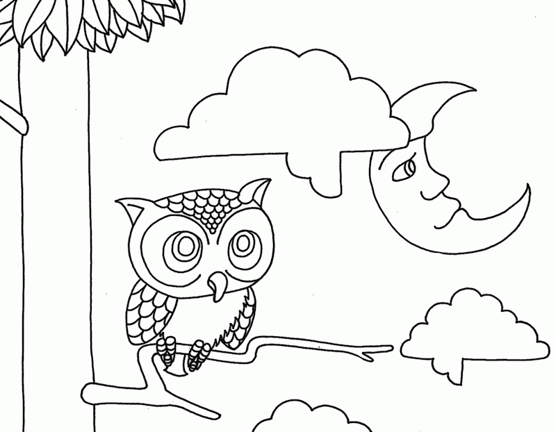 owl-coloring-page-0058-q1
