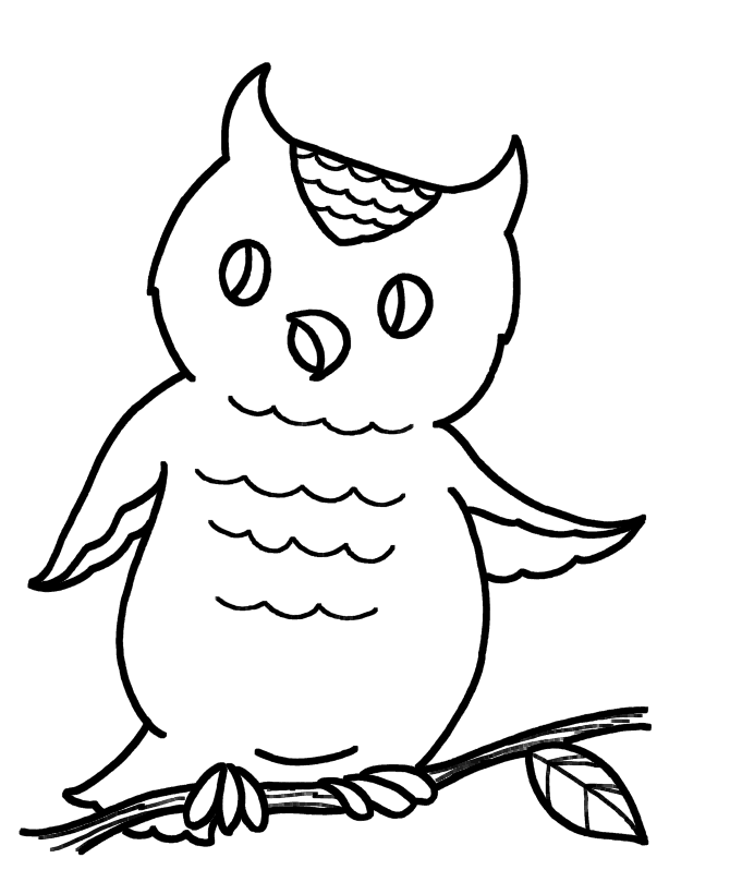 owl-coloring-page-0099-q1