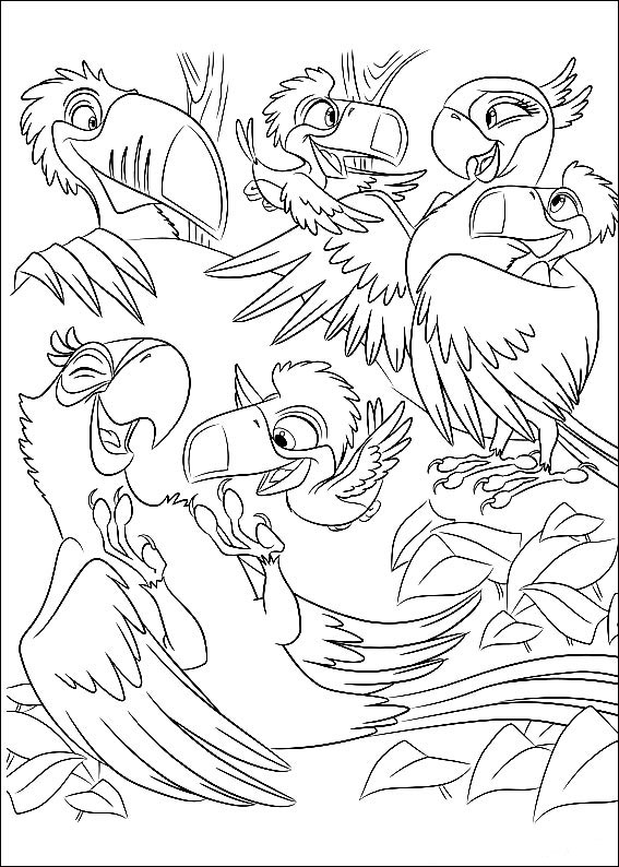 parrot-coloring-page-0003-q5