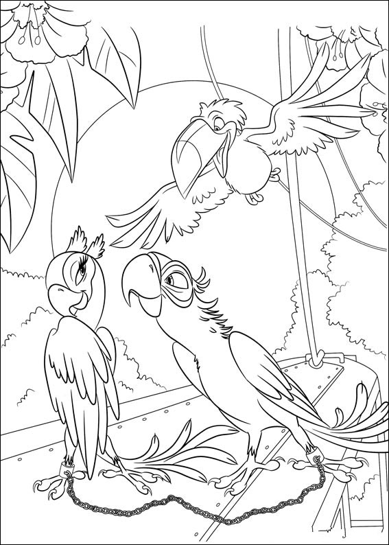 parrot-coloring-page-0014-q5