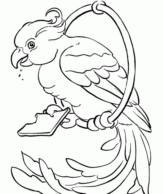 parrot-coloring-page-0053-q1