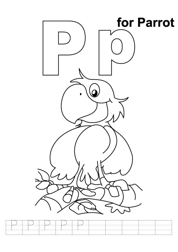 parrot-coloring-page-0062-q2