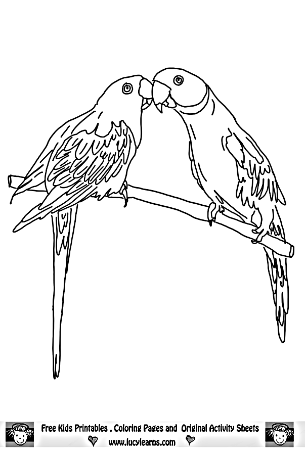 parrot-coloring-page-0064-q1