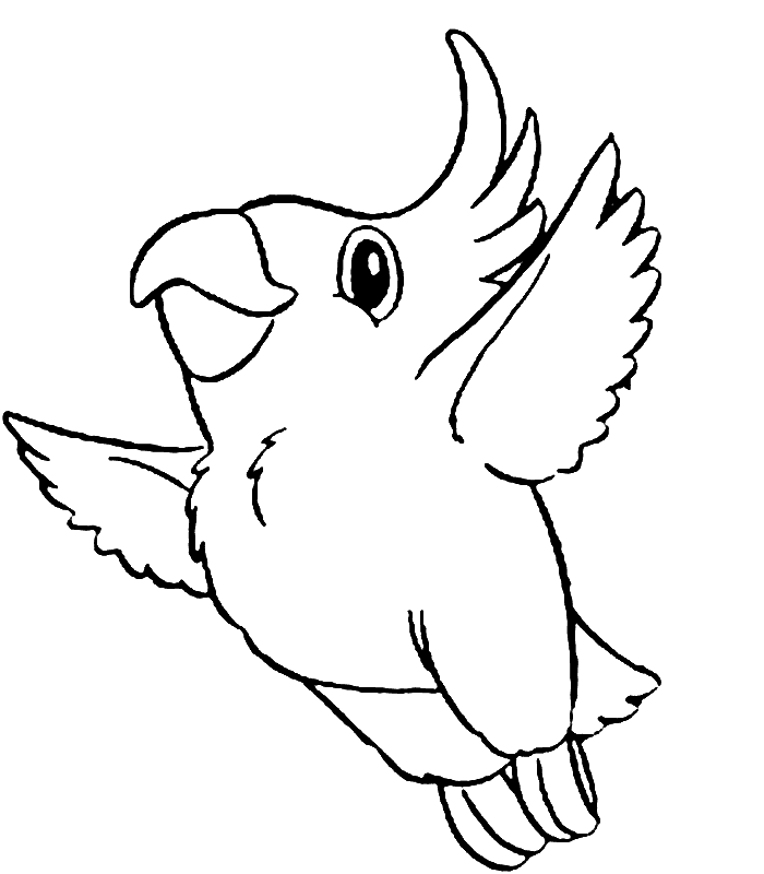 parrot-coloring-page-0104-q1