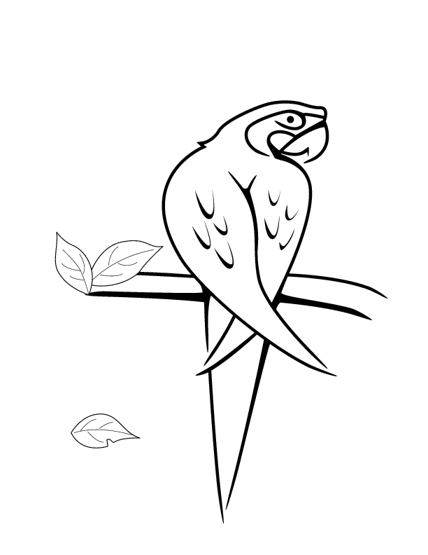 parrot-coloring-page-0105-q1