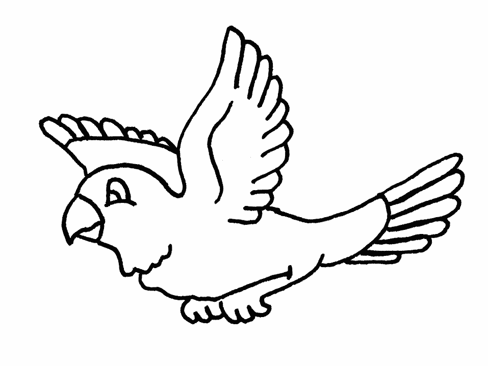 parrot-coloring-page-0107-q1